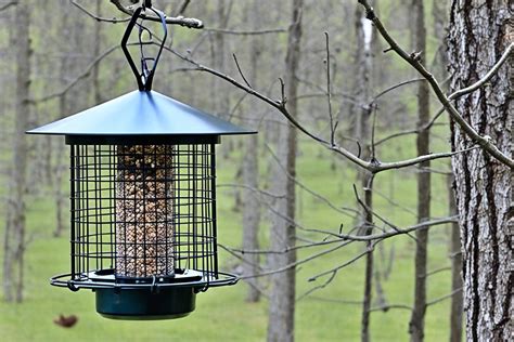 deer proof bird feeder|how to keep deer away from bird feeders.